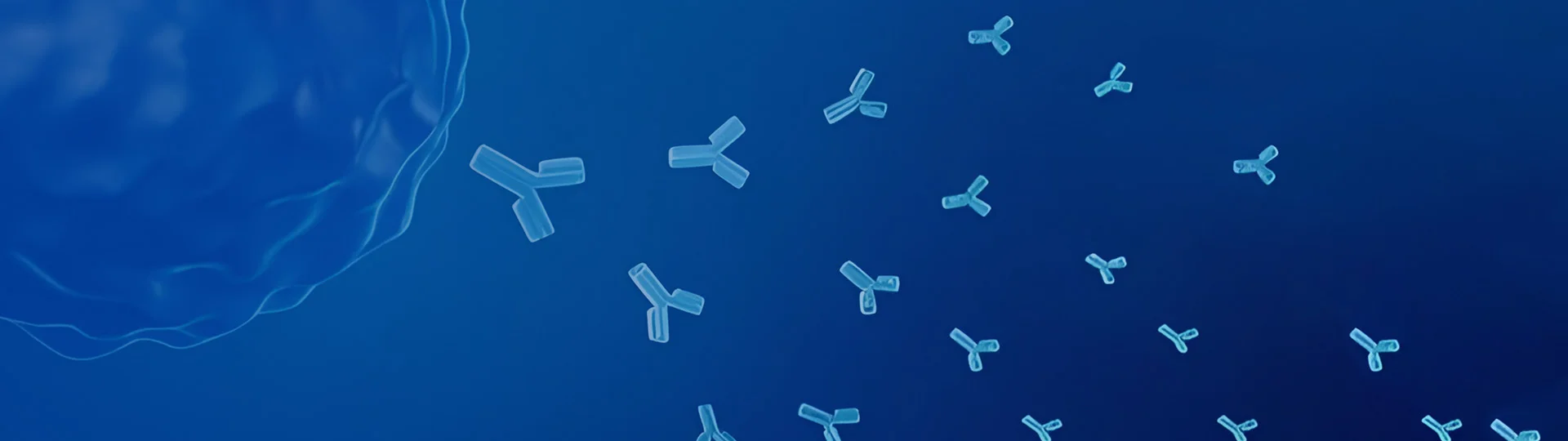 Antibody Humanization & PTM Service